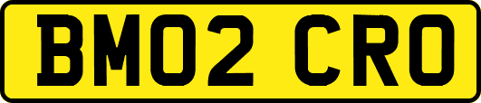 BM02CRO