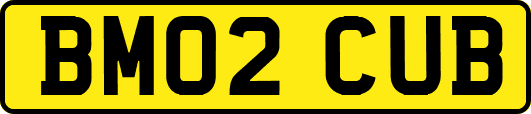 BM02CUB