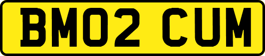 BM02CUM