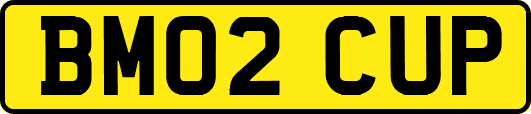 BM02CUP