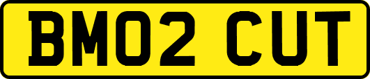 BM02CUT