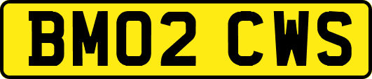 BM02CWS