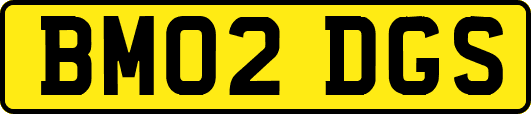 BM02DGS