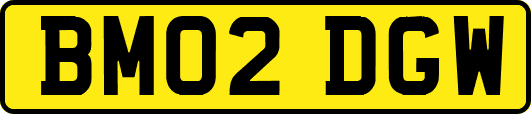 BM02DGW
