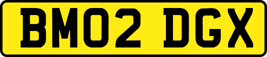 BM02DGX