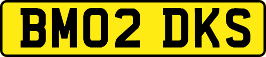 BM02DKS