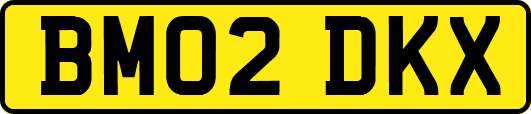 BM02DKX