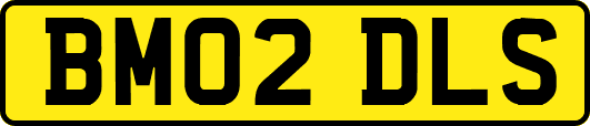 BM02DLS