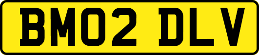 BM02DLV