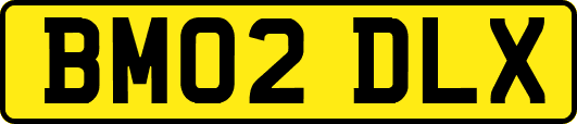 BM02DLX