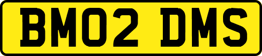 BM02DMS