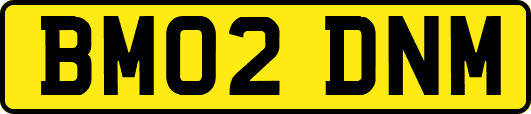 BM02DNM