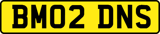 BM02DNS