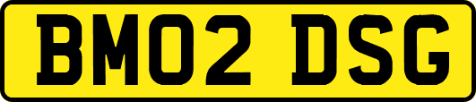 BM02DSG