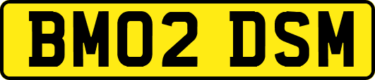 BM02DSM