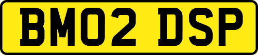 BM02DSP