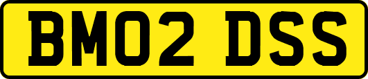 BM02DSS