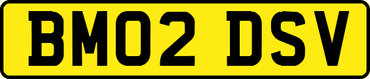 BM02DSV