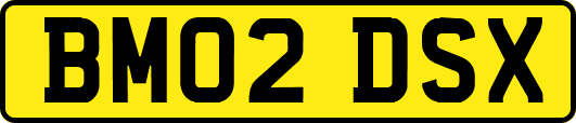 BM02DSX