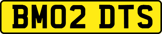 BM02DTS