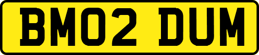 BM02DUM