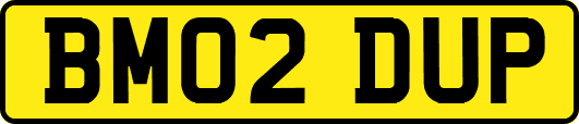 BM02DUP
