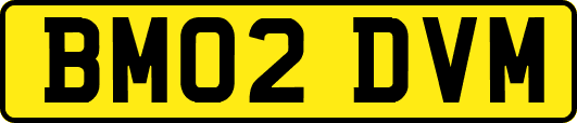 BM02DVM