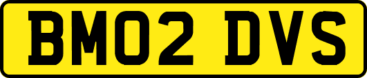 BM02DVS