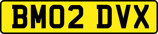 BM02DVX