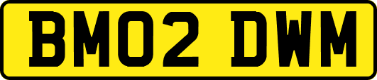 BM02DWM