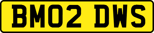 BM02DWS