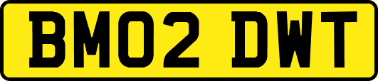 BM02DWT