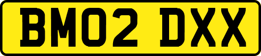 BM02DXX