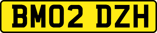 BM02DZH