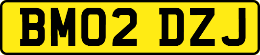 BM02DZJ