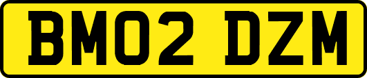 BM02DZM