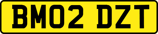 BM02DZT
