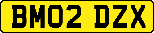 BM02DZX