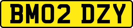 BM02DZY