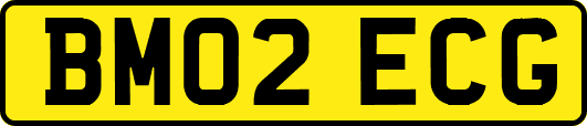 BM02ECG