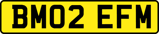 BM02EFM
