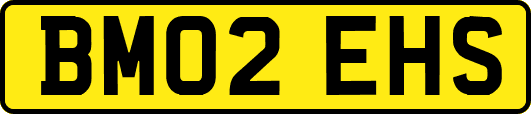 BM02EHS