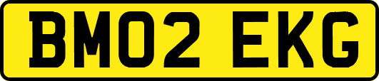 BM02EKG