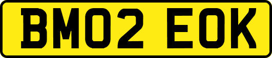 BM02EOK