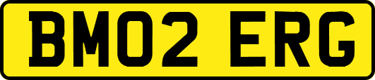 BM02ERG