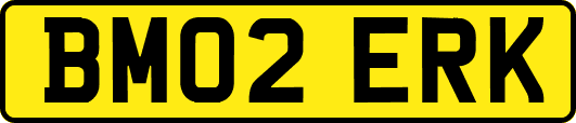 BM02ERK