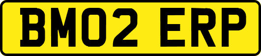 BM02ERP