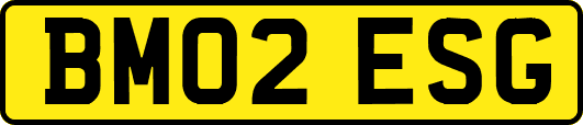 BM02ESG