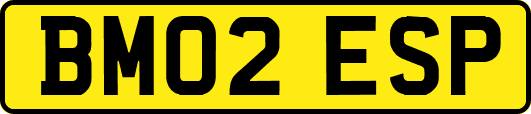 BM02ESP