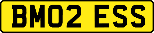 BM02ESS